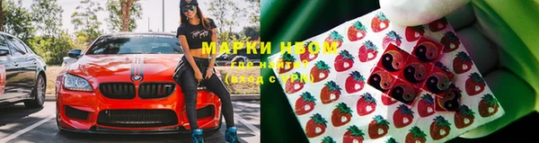 прущая мука Белокуриха