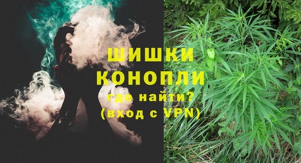 спиды Богданович