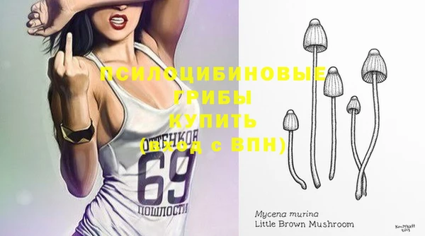 MDMA Богородицк