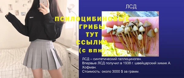 ПСИЛОЦИБИНОВЫЕ ГРИБЫ Белоозёрский