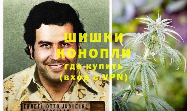 ПСИЛОЦИБИНОВЫЕ ГРИБЫ Белоозёрский