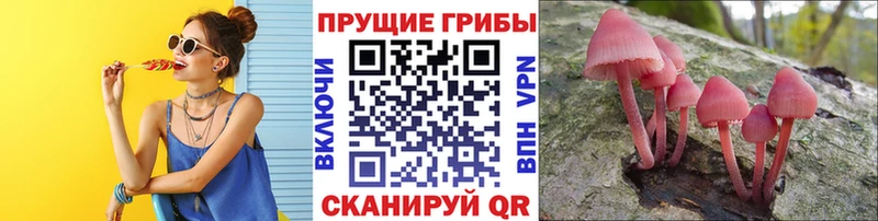 что такое наркотик  darknet телеграм  Псилоцибиновые грибы GOLDEN TEACHER  Беслан  KRAKEN вход 