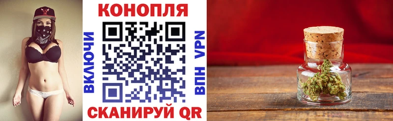 Бошки Шишки планчик  Беслан 